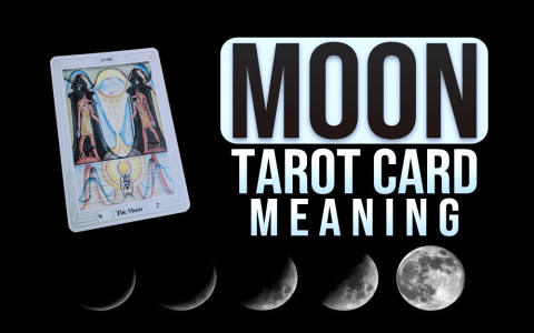 The Moon Reversed Advice: Trust Your Gut? | Simple Guide to Understanding Tarot Card Meanings