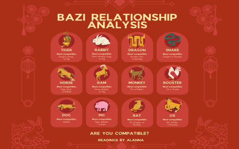 Dragon and Rooster Compatibility: Is This Relationship For You?
