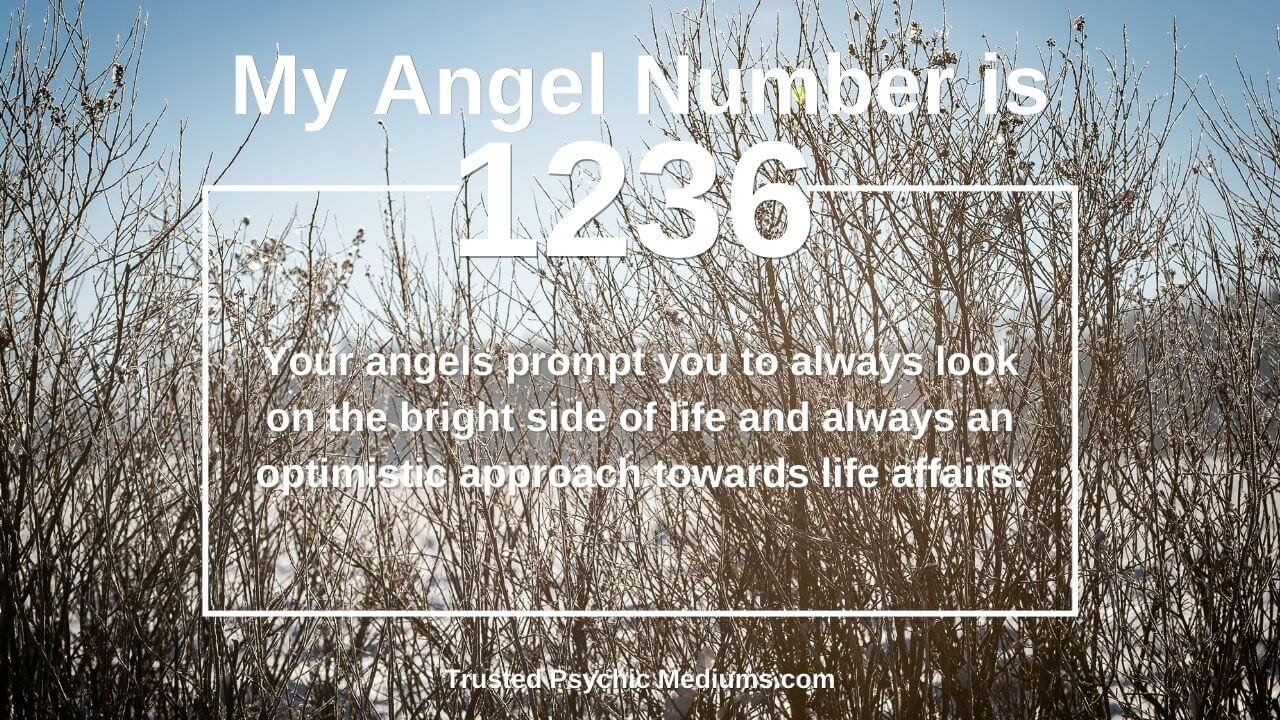 159bc74cbad8242b60ecca6b95190196 Seeing 1236 Angel Number? Heres What You Need to Know