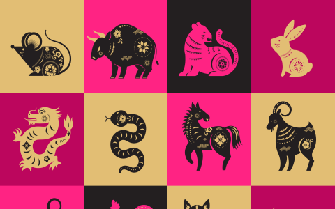 Gemini Monkey Meaning (Understanding Your Sun and Lunar Zodiac Signs)