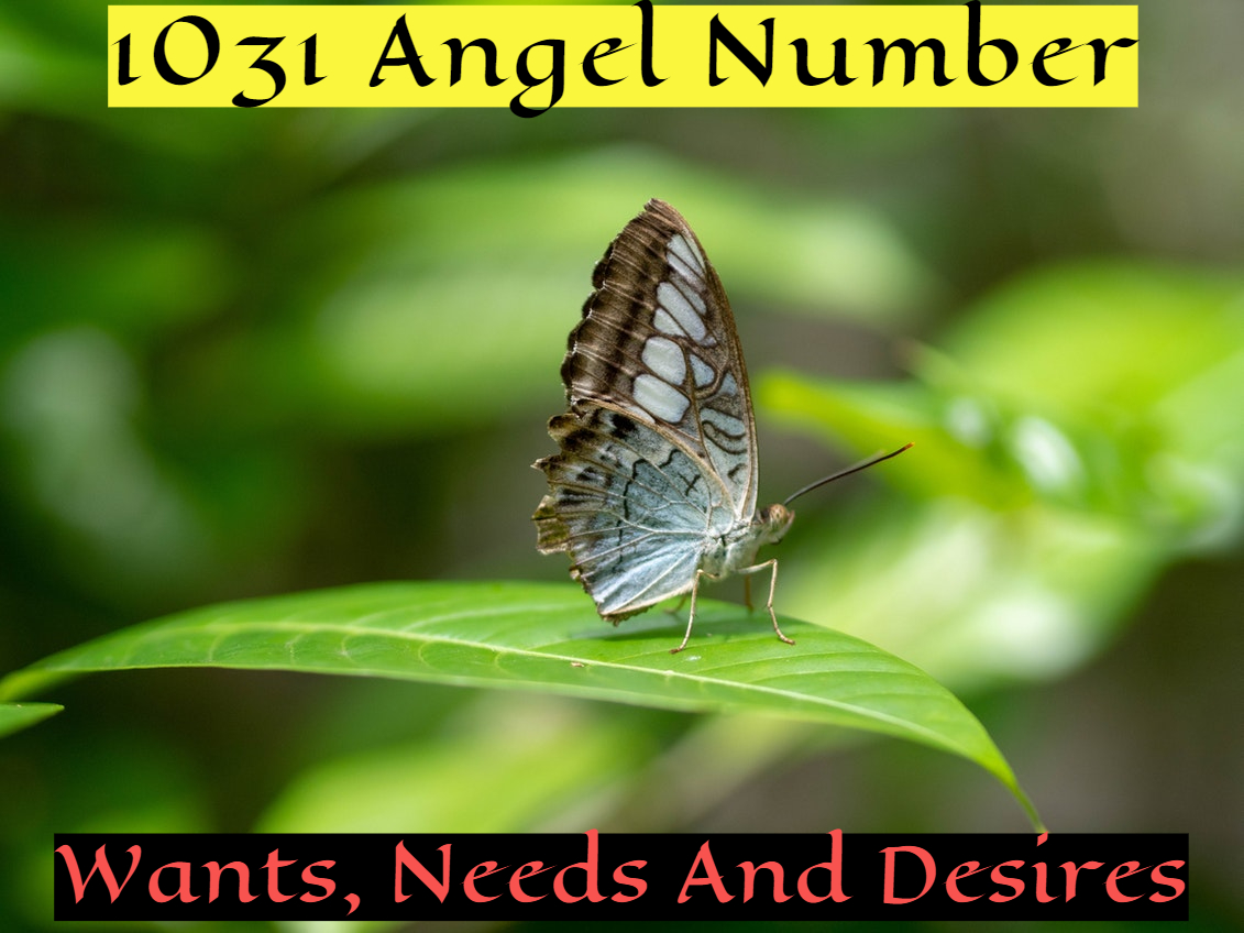 22aca5b70b8077ad626099462668eaab Unlocking the Mystery of 1031 Angel Number