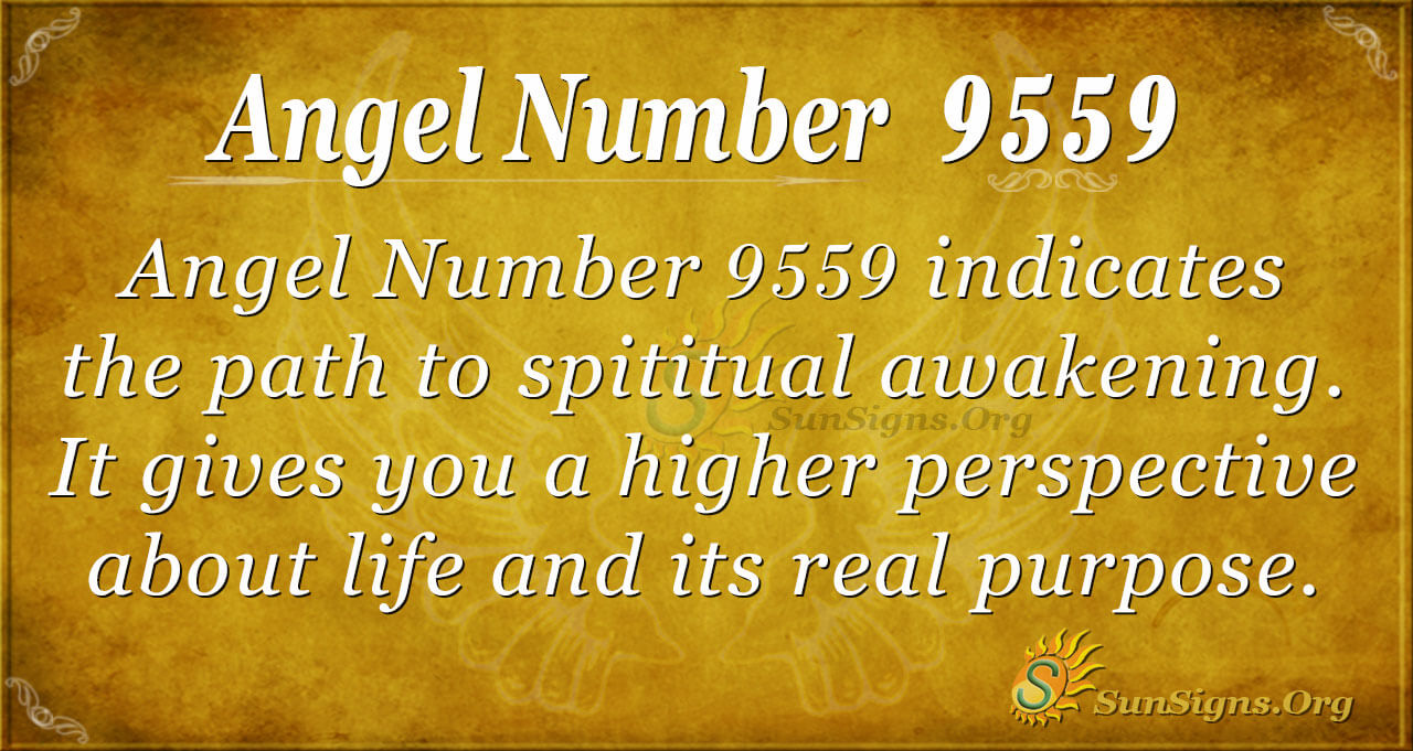 26c8bf3f98bc4fc9b6301e494c29ff62 What Does 9559 Angel Number Mean? A Simple Guide