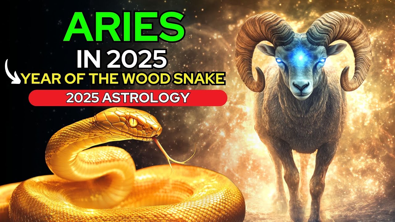 2c403dd74c76940a9840e8e1e3552064 Aries Year of the Snake: Simple Tips for a Great Year
