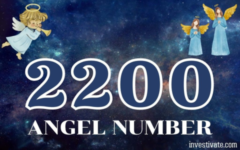 6633 Angel Number Meaning: What It Means For You?
