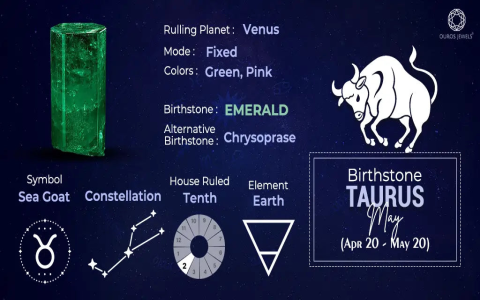 Discover Your Zodiac Sign: Born on December 16th, Read This