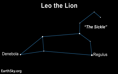 7th House in Leo: Finding a Partner Who Shines Bright
