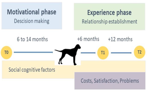Goat and Dog Friendship: Understanding Their Compatibility