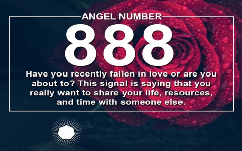 98 Angel Number Meaning: What Is It Trying To Say?