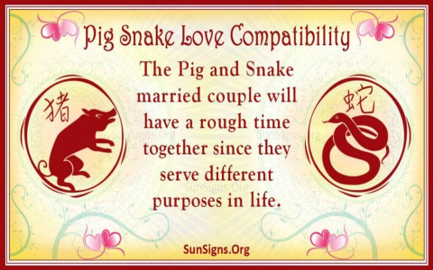 Exploring the Depths of Snake and Boar Zodiac Compatibility