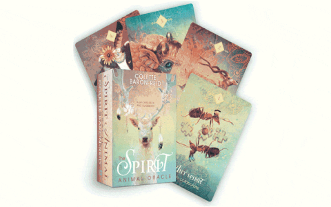 oracle reading online free