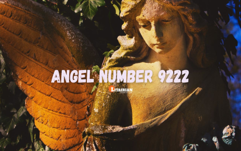 9229 Angel Number: A Powerful Message You Should Know
