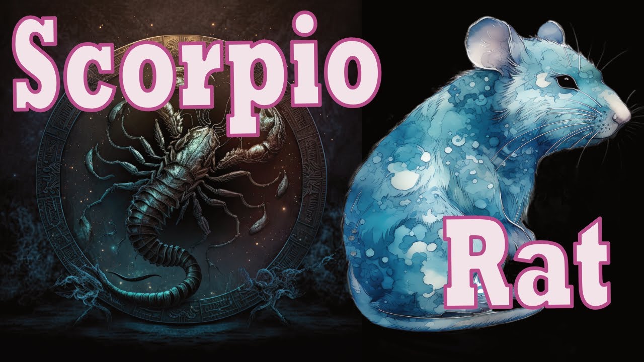 c3db8d1d659834966e3bd71b4d54f3e9 Scorpio Rat Personality: What Makes Them Tick?