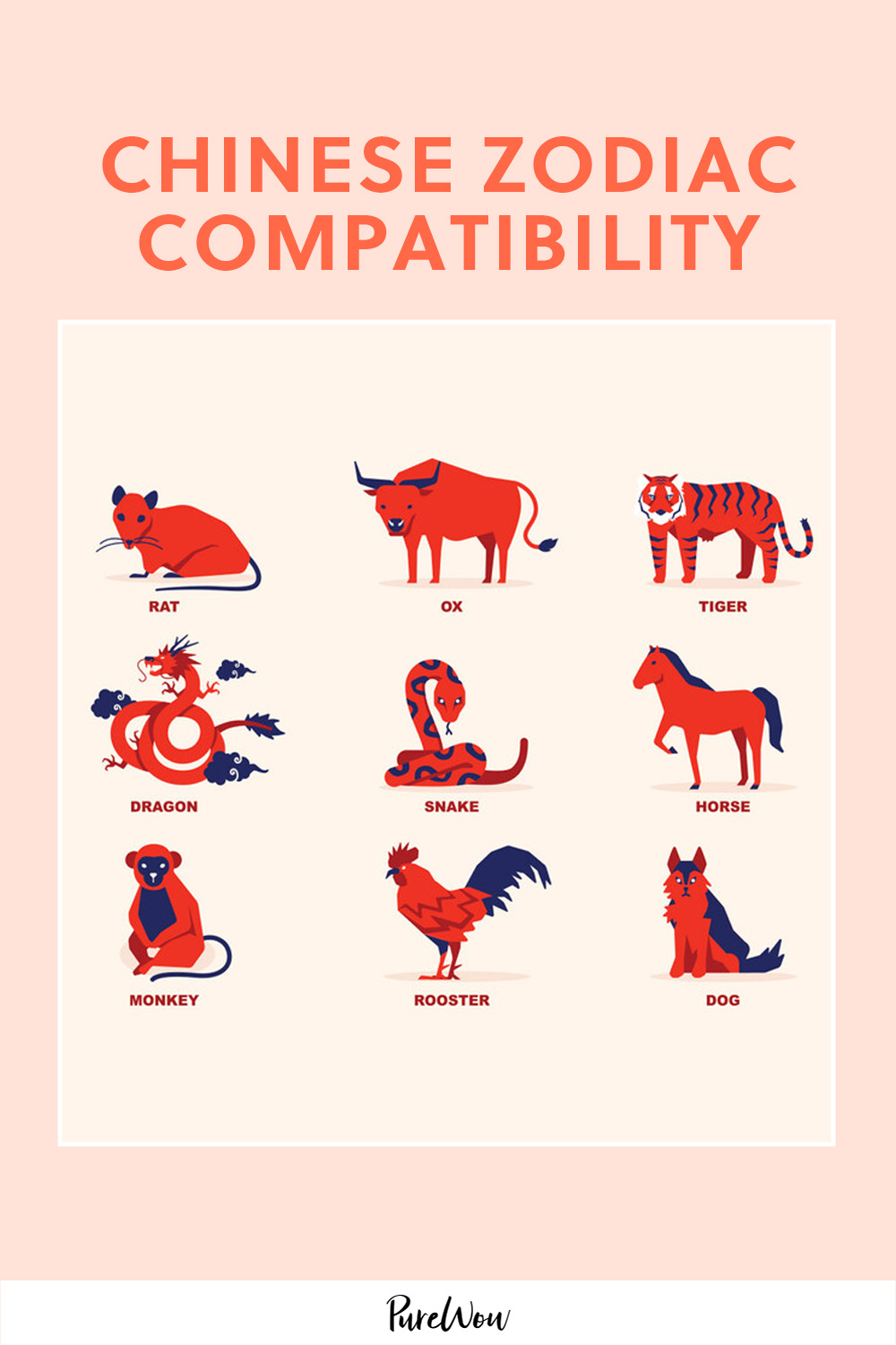 c6abeae00af775e416318282ef49d96c Year of the Monkey and Horse Compatibility: Love Match or Disaster?