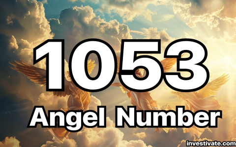 1054 Angel Number: Love, Career, and Life Changes