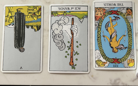 4 of Wands Reversed in a Reading? Heres My Advice