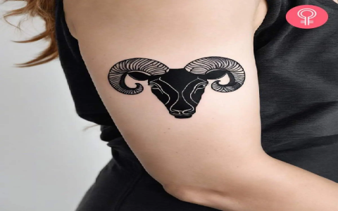 Aries Year of the Snake: Simple Tips for a Great Year