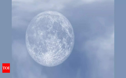 Cancer Sun Taurus Moon: Personality Traits You Need to Know!
