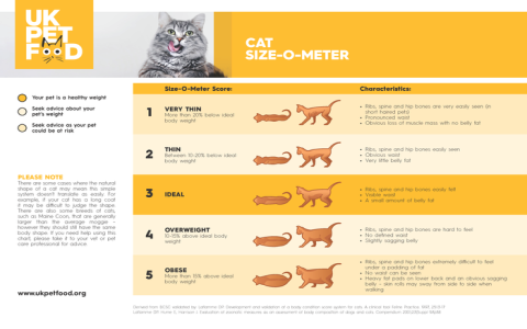 Whats the 125 Meaning? Find Out Here in Simple Terms!