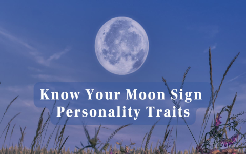 Sun Sagittarius Moon Virgo A Simple Guide to Understanding Your Personality and How It Can Help You Get Ahead in Life