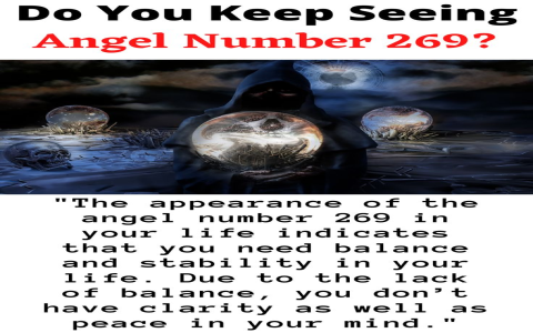 The significance of 269 meaning: Here are the simple things you need to know.