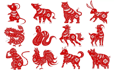 Ox and Pig Compatibility: Here is Why They Might or Might Not Work.
