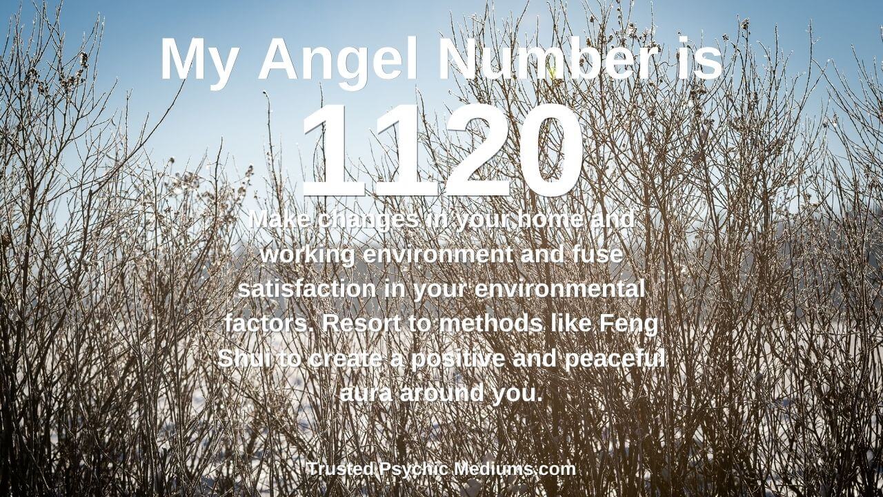 49c9b3712b486a1489cb78b32e520006 What Should You Do When You See 1120 Angel Number? Lets find out.