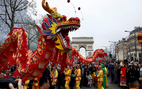 Dog in the Year of the Dragon 2024: Tips for a Happy and Healthy Year!