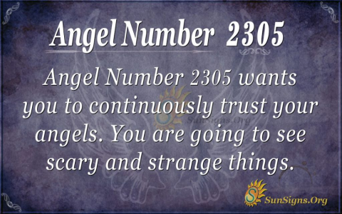 Seeing Angel Number 305? Find Out What Your Angels Are Trying to Tell You