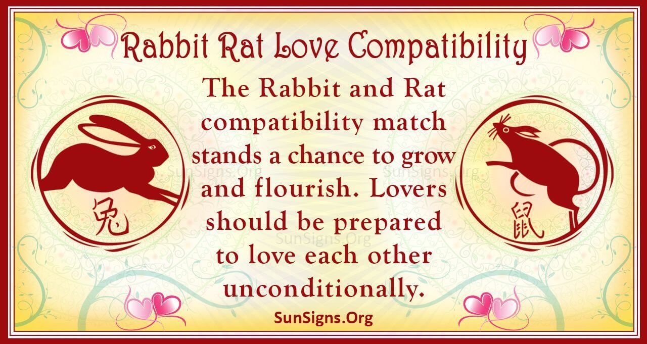 6afb2b2f86b7ac6b1f56d2a8c5a07d1b Rabbit Man and Rat Woman Compatibility: Are They a Perfect Couple in a Relationship?