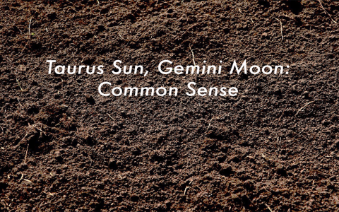 Sun Leo Moon Taurus: Personality Traits and More Explained Simply!