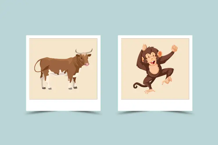73ea67ac7d6a23a16ccdf0c32fab8e51 Female Ox and Male Monkey Compatibility Exploring the Challenges and Potential for Love Between These Two Signs