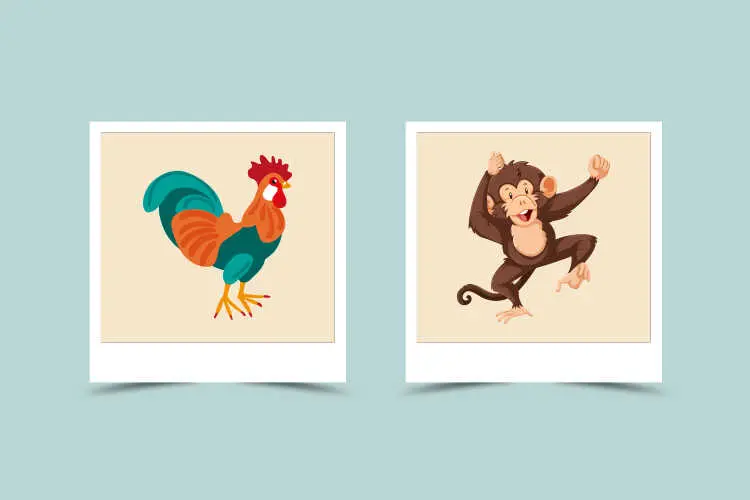 77e21add06f6625013f7079ec3cf24ee Rooster and Monkey Compatibility: Relationship Tips for These Two.