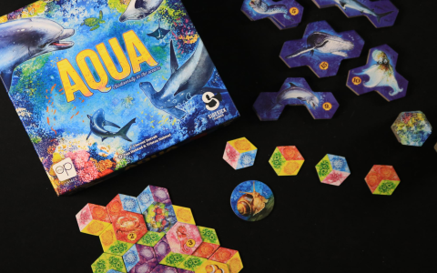 Why is aqua verse so popular (Discover the features and play)