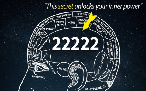329 Angel Number Meaning: Is It a Sign? (Learn the Secret Message Behind It)