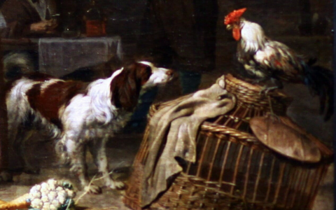 Dog Rooster Compatibility: Will It Be a Happy Match or a Total Disaster for Them?