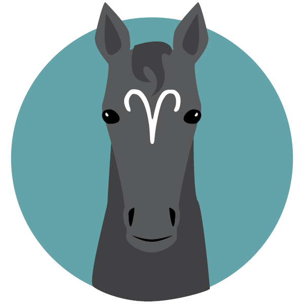 acc87fdb4bf08b4c2abc0746c2b813ee Horse Aquarius: Whats Your Sign Say About Your Love Life, Find Out Now?