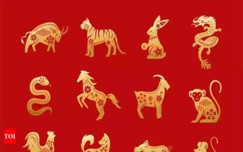 Rabbit Aries: Good or Bad? Learn Their Best and Worst Personality Traits Here.