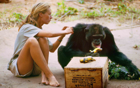 Understand an Earth Monkey Woman: Tips to Know Her Better