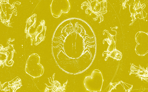 Are You a Cancer Rat Zodiac Sign? Find Out How These Signs Blend Together!