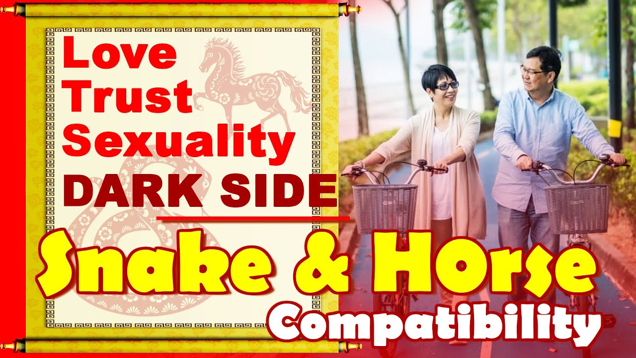 d714c03b8dc6f8dbf98fd56d5709de64 Are Horse and Snake Compatible? Heres the Honest Truth.