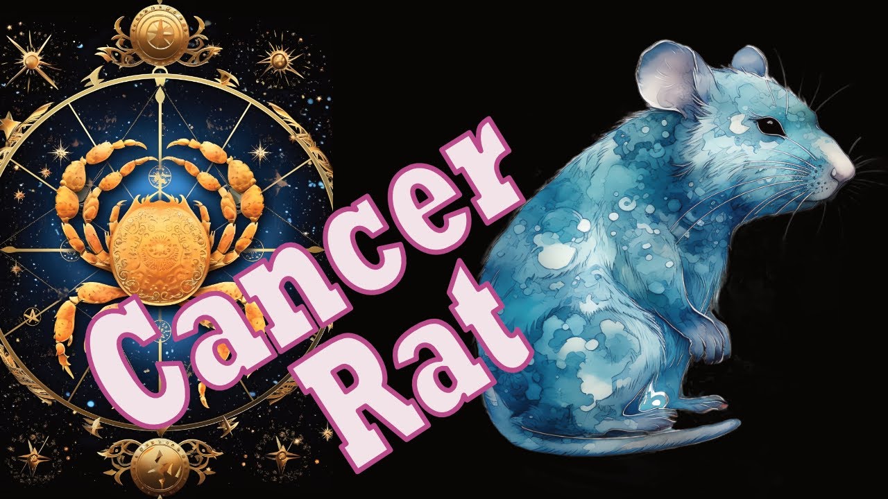 d859fa70936ffd81aba2a36d4f6097e8 Are You a Cancer Rat Zodiac Sign? Find Out How These Signs Blend Together!