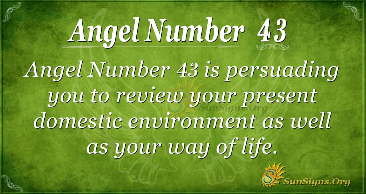 dd310af36a03f1eec95b7155a6241667 The meaning of 43: Discover what this number is all about