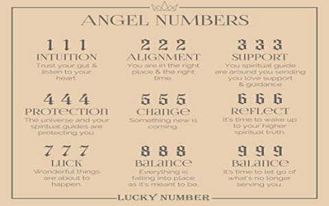 Angel Number 925 Explained: The message behind this number and how to use it.