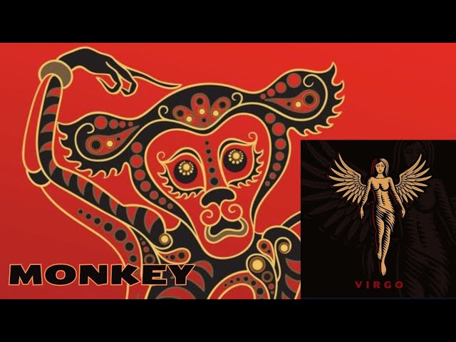 f162f08d0315c0dbaa4e9c04ac647041 Virgo Monkey Traits: How This Sign Combines Perfectionism and Playfulness
