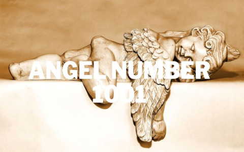 Why You Keep Seeing 831 Angel Number (Learn the Secret)
