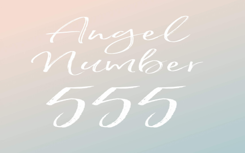 41 angel number meaning: Easy guide to understand this angel message!