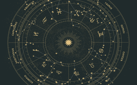Chinese Lunar Calendar 1956: Find Your Zodiac Sign Easily!