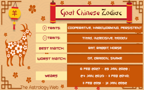 Rooster Woman and Rat Man Compatibility: Will This Couple Work?