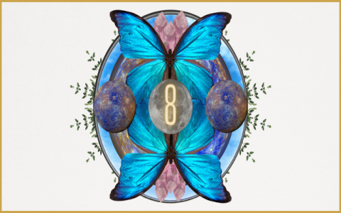 Number 11 Numerology: Find Out about your birthday mean.