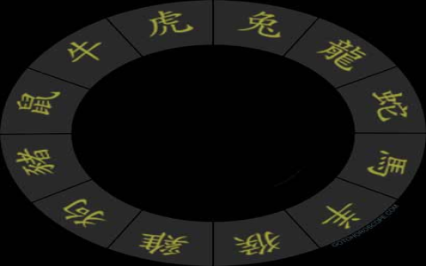 Zodiac Insights: Exploring Goat and Rooster Compatibility